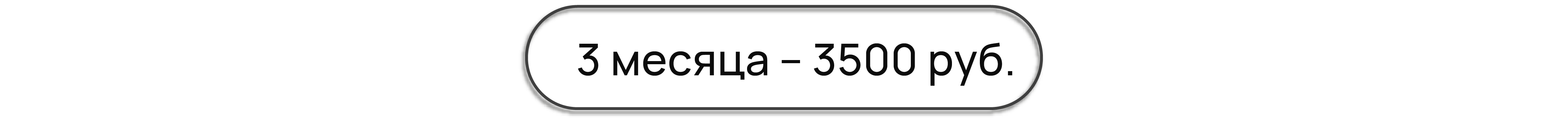 3 месяца